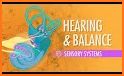 Hearing Sound related image