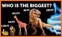 Largest or Smallest Animal related image