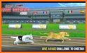 Racing Dog Simulator: Crazy Dog Racing Games related image