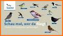 NABU Vogelwelt - Vögel Entdecken und Bestimmen related image