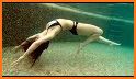 Mermaid Swimming related image