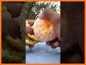 Orange Papaya Escape - A2Z related image