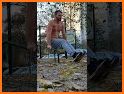 DIP - impossible adventure! related image