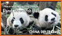 Chengdu Tourist Map Offline related image