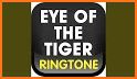 Eye of the Tiger Ringtone related image