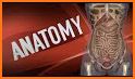 Quizmaster & Anatomy related image