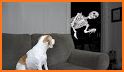 Pets shop jigsaw game related image