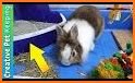Bunny Baby Pet Care House related image