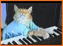 Pretty Cute Cat Keyboard Theme related image