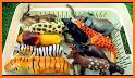 Alpha Zoo - learning animals related image