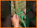 Octo Knot related image