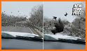 Birds Hit related image