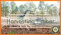 Lumber Harvest related image