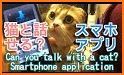 Human Cat translator Cat language translation 猫语翻译 related image