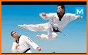 Taekwondo Master related image
