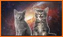 Space Cats Pop related image