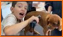 Pet Hair Salon For Toddlers related image