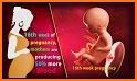 PREGGY - Pregnancy & Babies related image
