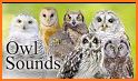 North Line OWL related image