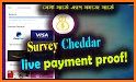 Cheddar Paid Cash Surveys related image