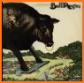 Bull Album related image