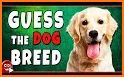 Guess the Dog Breed: Picture Quiz Game Trivia related image
