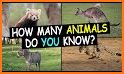 Animals Questions related image