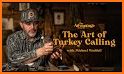 Turkey calls related image