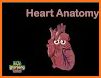 Heart's Medicine - Season One ❤️ related image
