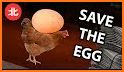 Protect Eggs! related image