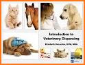 Vet Nurse Quick Reference related image