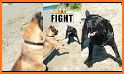 Pets Fight related image