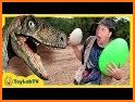 Dinosaurs Park Suprise Eggs related image