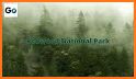 Redwood National Park related image