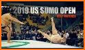 Sumo Combat: Battleground related image