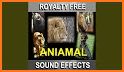 150 Animal Sounds related image