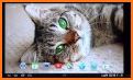 3D Cute Cat Live Wallpaper related image