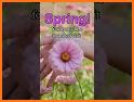 Spring Wishes and Greetings related image