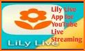 LiLy Live - Live Streaming App related image