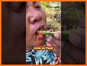 Ants Adventure related image