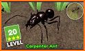 Ant Empire Simulator related image