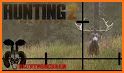 Deer Hunting 2: Hunting Season related image