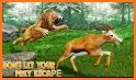 Lion Games Animal Simulator 3D related image