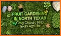 Fruit garden masters related image