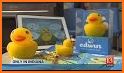 Edwin the Duck related image