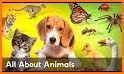 Find Them All: Cats, Dogs and Pets for Kids related image