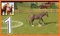 Horse Racing World - Show Jumping Stable Simulator related image