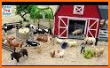 Farm Animals related image