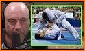 BJJ fight training (Brazilian Jiu Jitsu) related image