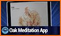 Oak - Meditation & Breathing related image
